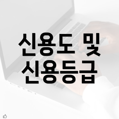 신용도 및 신용등급