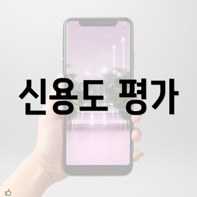 신용도 평가