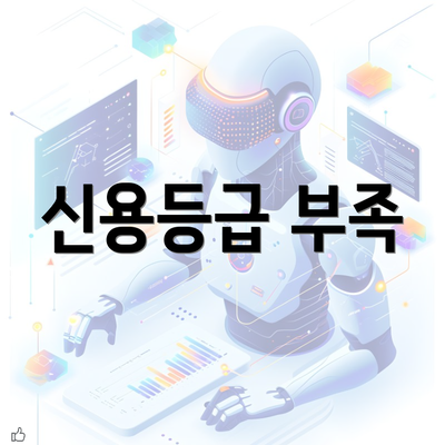 신용등급 부족