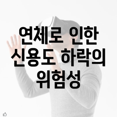 연체로 인한 신용도 하락의 위험성