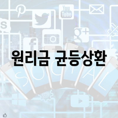 원리금 균등상환