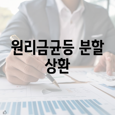 원리금균등 분할 상환