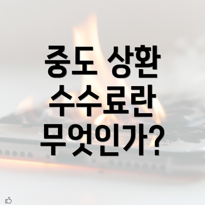 중도 상환 수수료란 무엇인가?