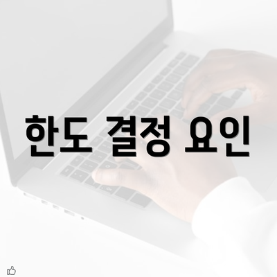 한도 결정 요인