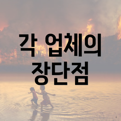 각 업체의 장단점