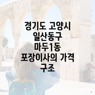 경기도 고양시 일산동구 마두1동 포장이사의 가격 구조