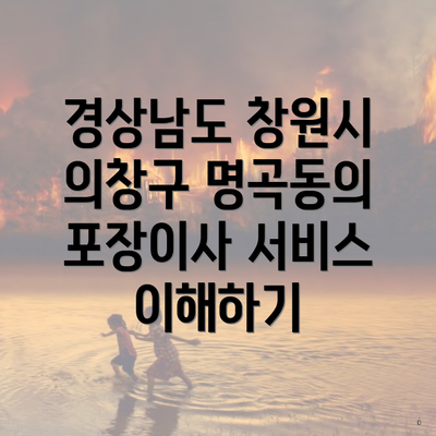 경상남도 창원시 의창구 명곡동의 포장이사 서비스 이해하기