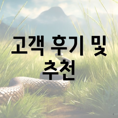 고객 후기 및 추천