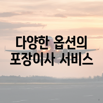 다양한 옵션의 포장이사 서비스