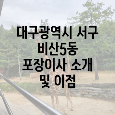 대구광역시 서구 비산5동 포장이사 소개 및 이점