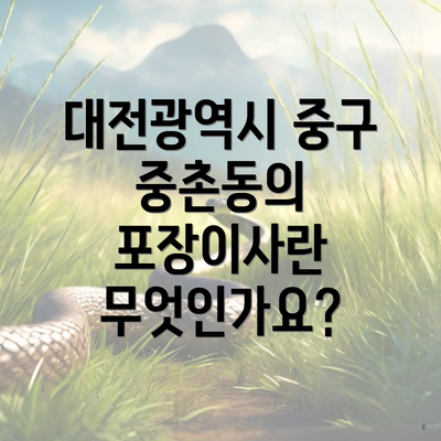 대전광역시 중구 중촌동의 포장이사란 무엇인가요?