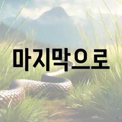 마지막으로