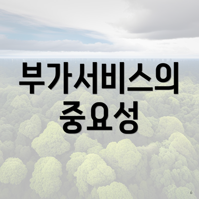 부가서비스의 중요성