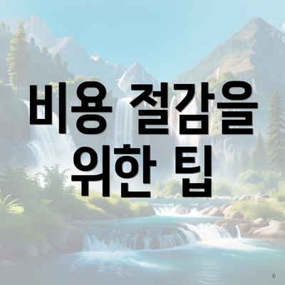 비용 절감을 위한 팁