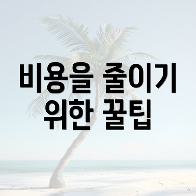 비용을 줄이기 위한 꿀팁