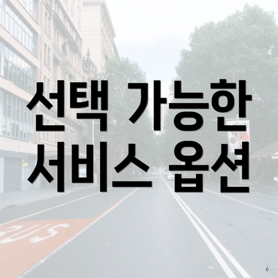 선택 가능한 서비스 옵션