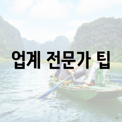 업계 전문가 팁