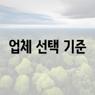 업체 선택 기준