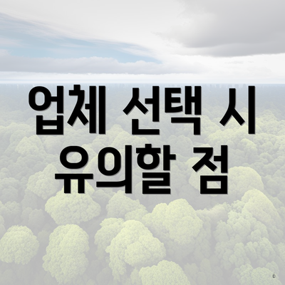 업체 선택 시 유의할 점