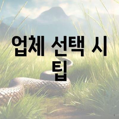 업체 선택 시 팁