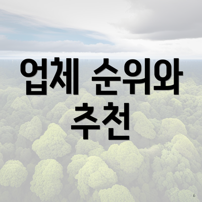 업체 순위와 추천