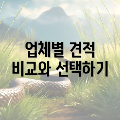 업체별 견적 비교와 선택하기