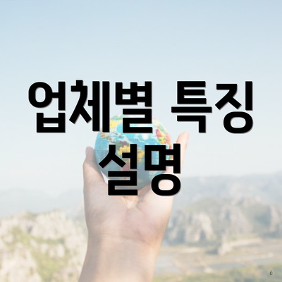 업체별 특징 설명