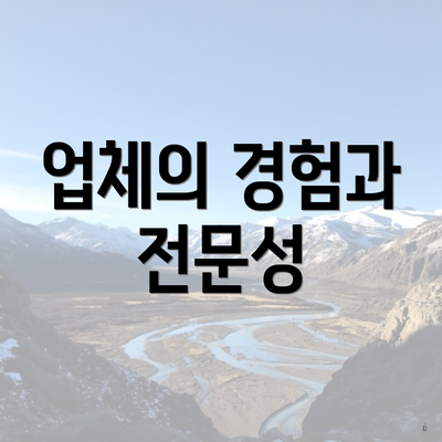 업체의 경험과 전문성