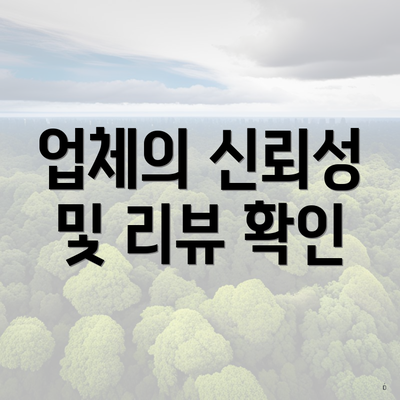 업체의 신뢰성 및 리뷰 확인