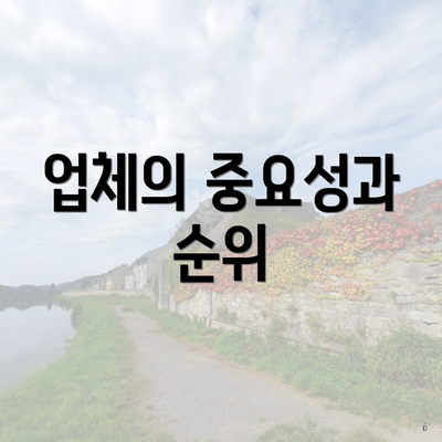 업체의 중요성과 순위