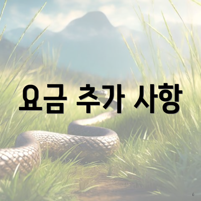 요금 추가 사항