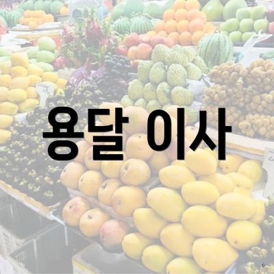 용달 이사