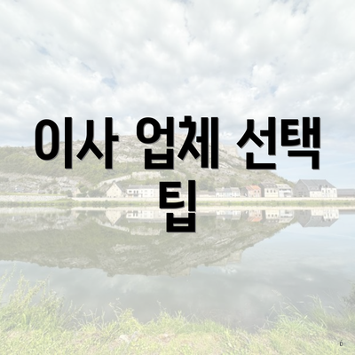 이사 업체 선택 팁