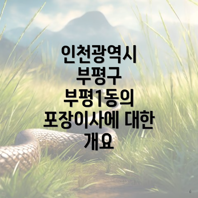 인천광역시 부평구 부평1동의 포장이사에 대한 개요