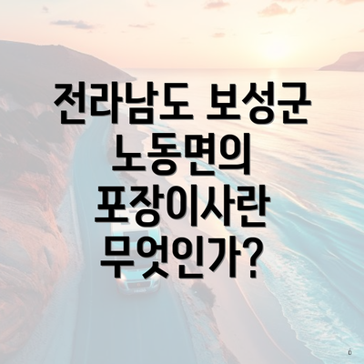 전라남도 보성군 노동면의 포장이사란 무엇인가?