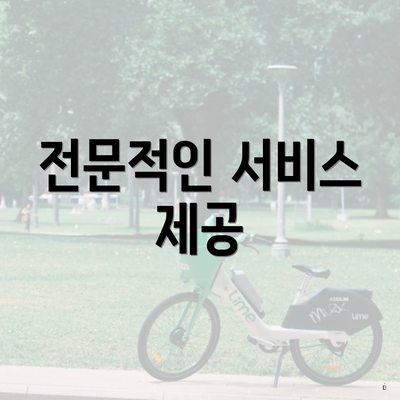 전문적인 서비스 제공