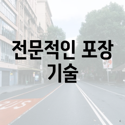전문적인 포장 기술