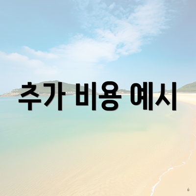 추가 비용 예시