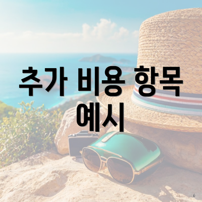 추가 비용 항목 예시