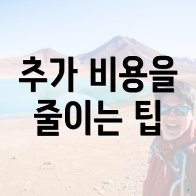 추가 비용을 줄이는 팁