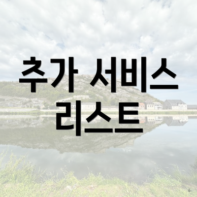 추가 서비스 리스트