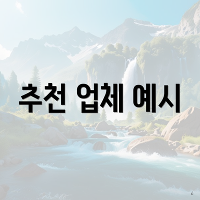 추천 업체 예시