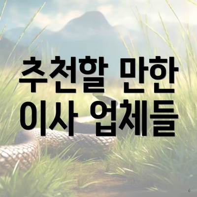 추천할 만한 이사 업체들