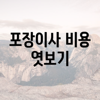 포장이사 비용 엿보기