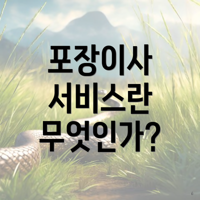 포장이사 서비스란 무엇인가?