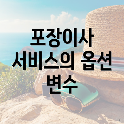 포장이사 서비스의 옵션 변수
