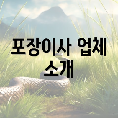 포장이사 업체 소개