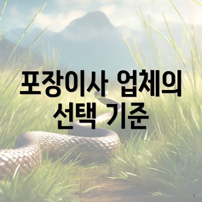 포장이사 업체의 선택 기준