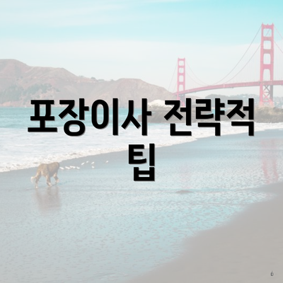 포장이사 전략적 팁