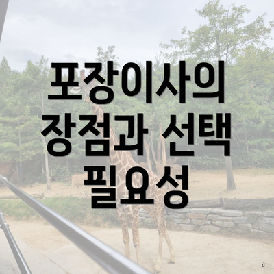 포장이사의 장점과 선택 필요성